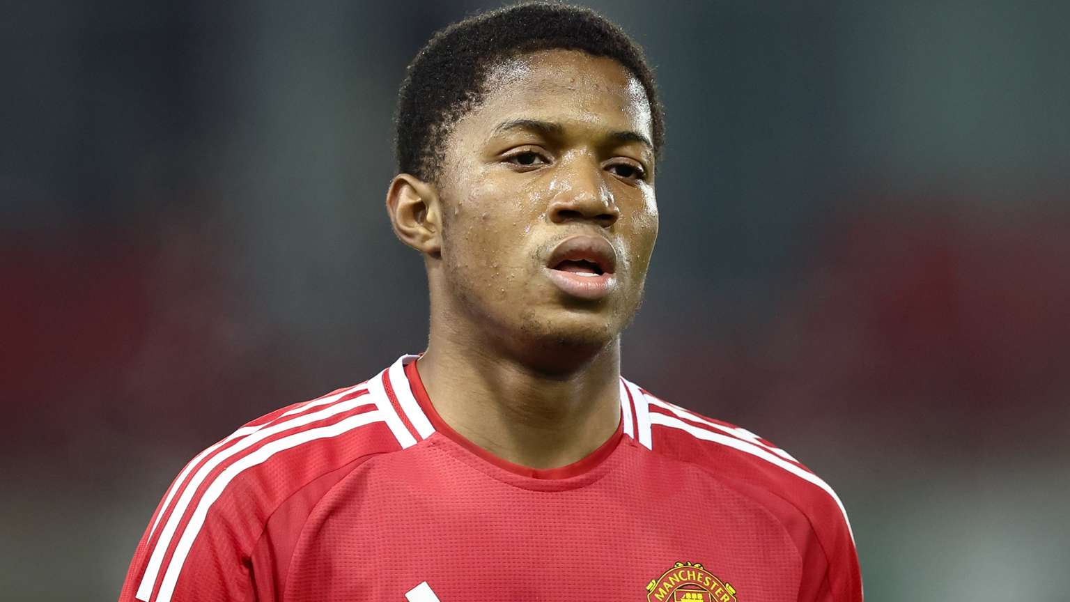 无与伦比的 无与伦比的