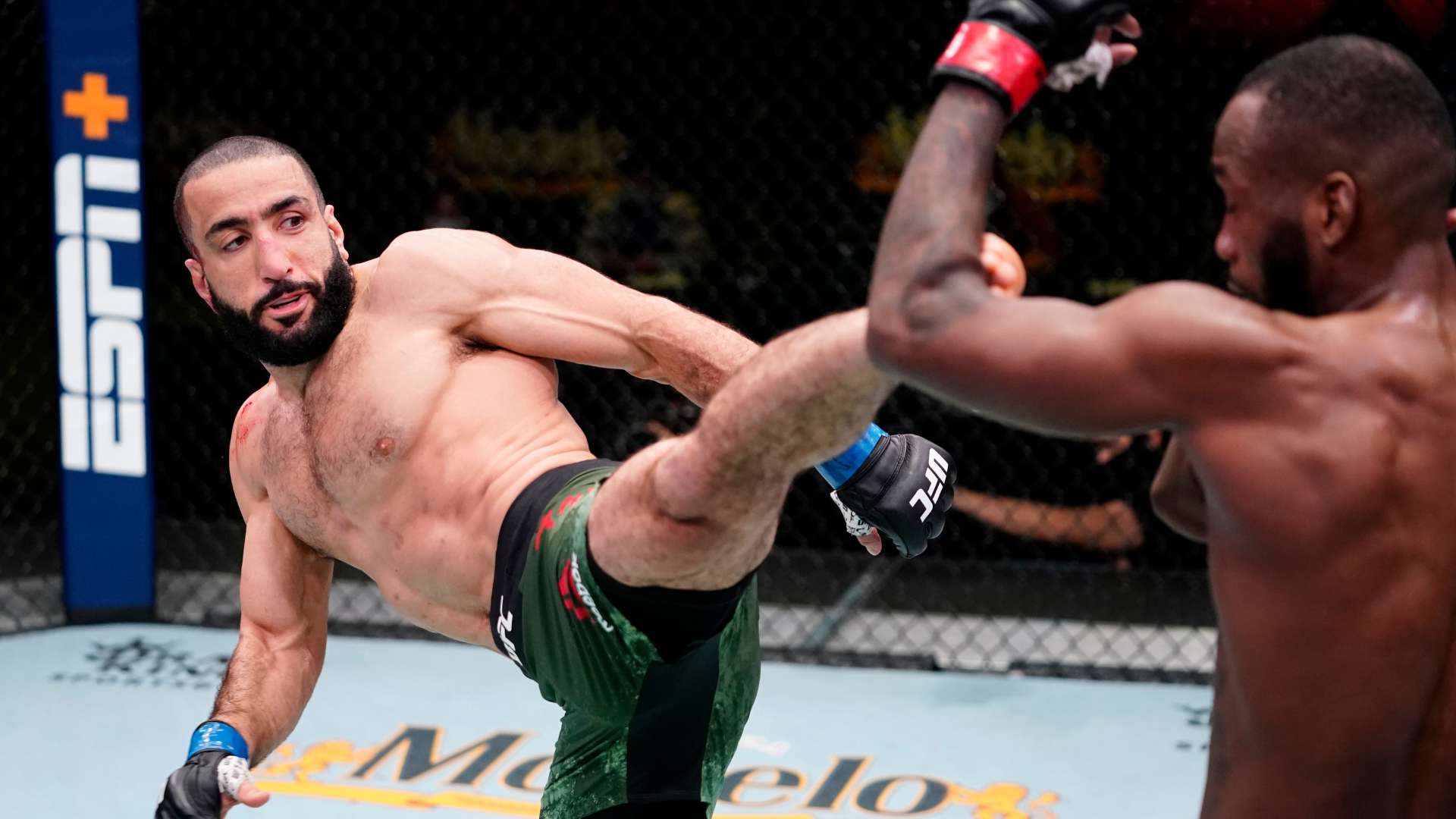 仅展现了韩 仅展现了韩